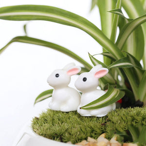 Lovely Resin Plants Rabbit Cute Micro